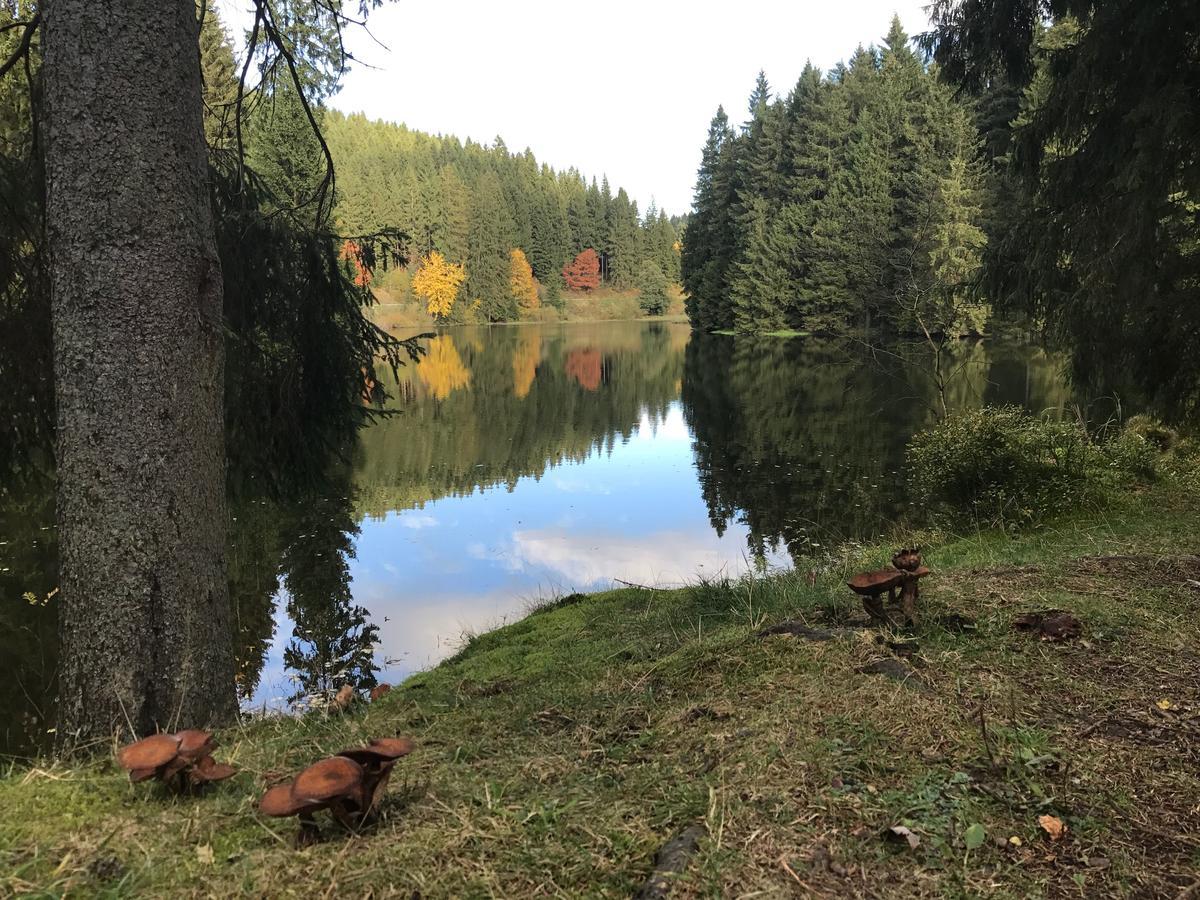 شقة Henne Hahnenklee جوسلار المظهر الخارجي الصورة